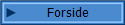 Forside