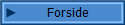 Forside